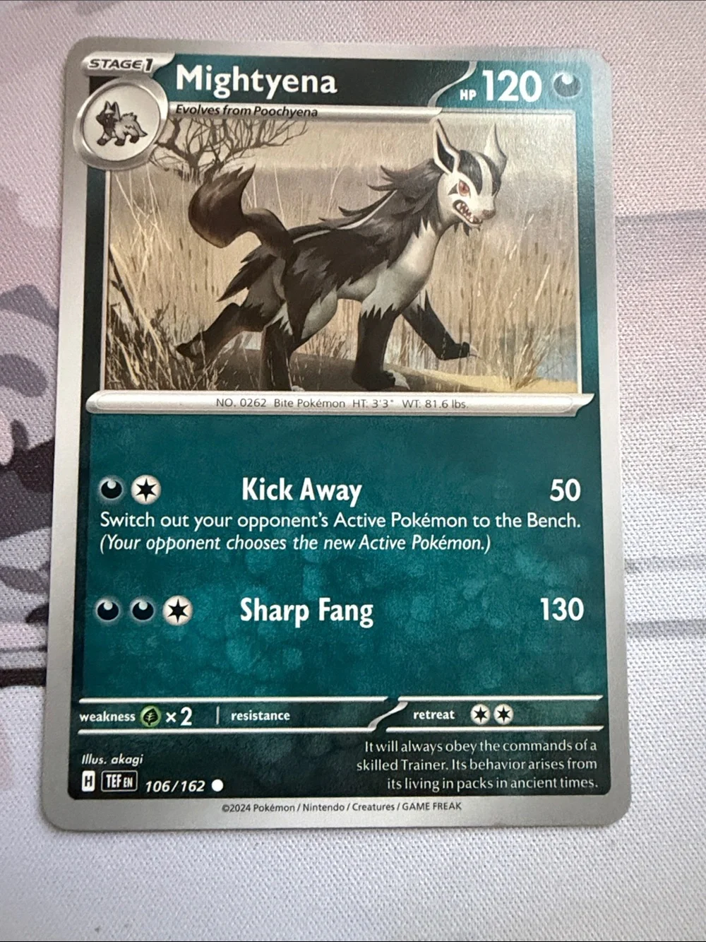 Poochyena & Mightyena Evolution Collection Lot | 5 Pokémon Cards | ✨5/$25✨